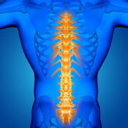 Endoscopy Spine Surgery