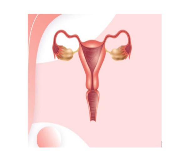 Cervical Cancer in Women: How Vaccination Drives Can Thwart This Silent Threat