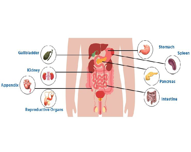 Health Tips for a Smooth Recovery from Laparoscopic Surgery