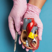 Kidney Transplant Surgery