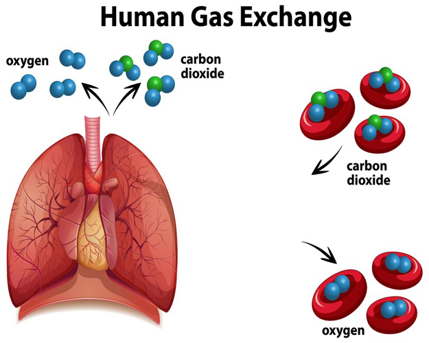 Breathing Easy: ITM Hospital in Gwalior Leads in Lung Care