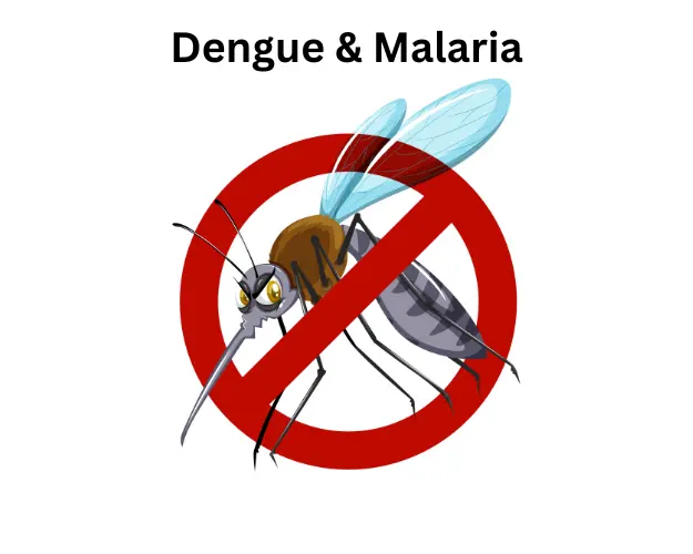 Dengue and Malaria: Understanding the Dangers of Mosquito-Borne Diseases and How to Stay Safe