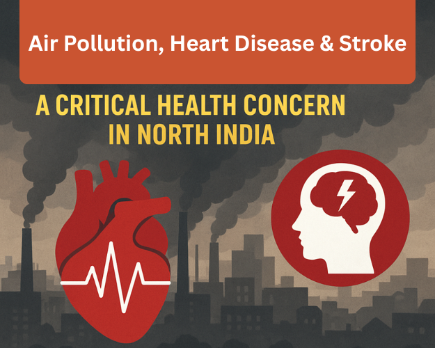 Air Pollution, Heart Disease & Stroke: A Critical Health Concern in North India